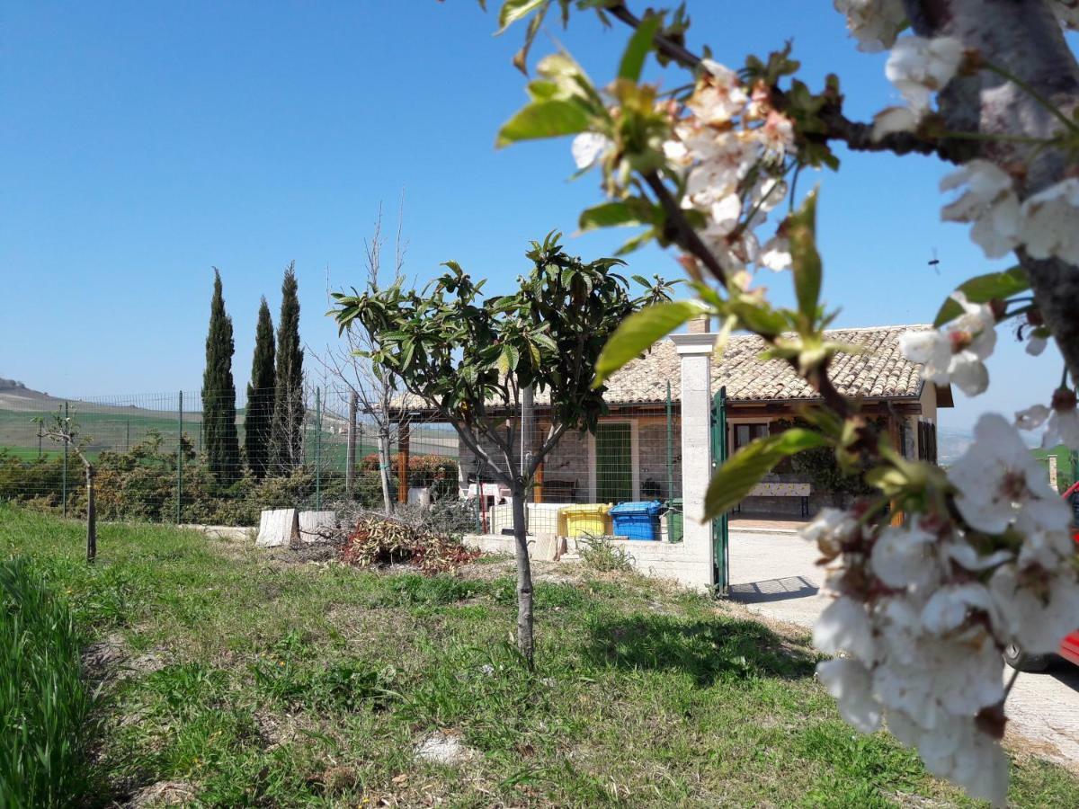 Villa Lemme Montenero di Bisaccia Exterior foto